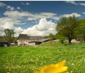 Zimmer auf dem Scheuerhof